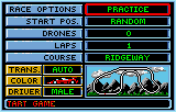 Checkered Flag screenshot 4 for Atari Lynx